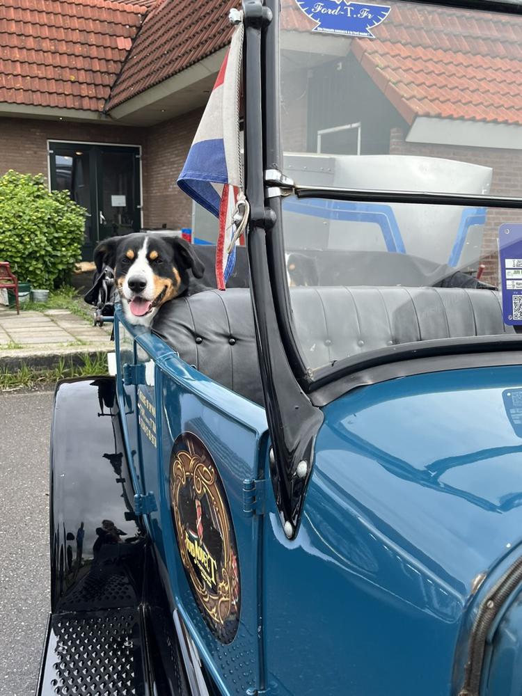 Hollandse IJsselrit 2026